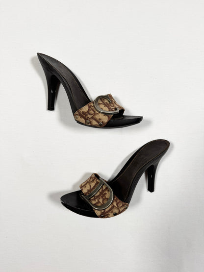 Dior Brown Logo Trotter Heels ♡ Size 38