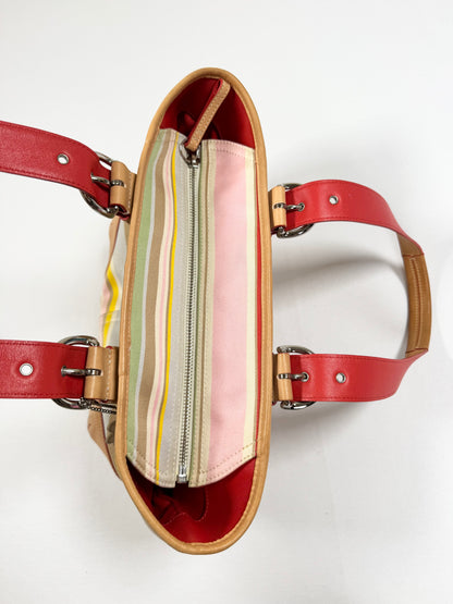 Coach Spring Stripe Bag ♡