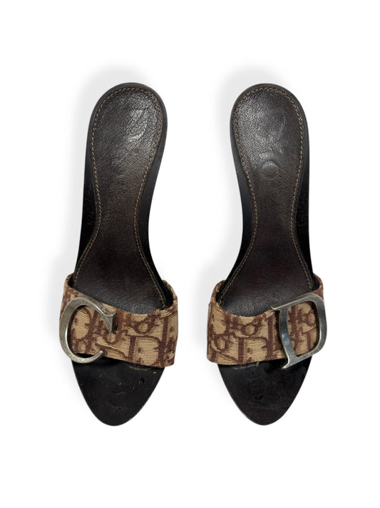 Dior Brown Logo Trotter Heels ♡ Size 38
